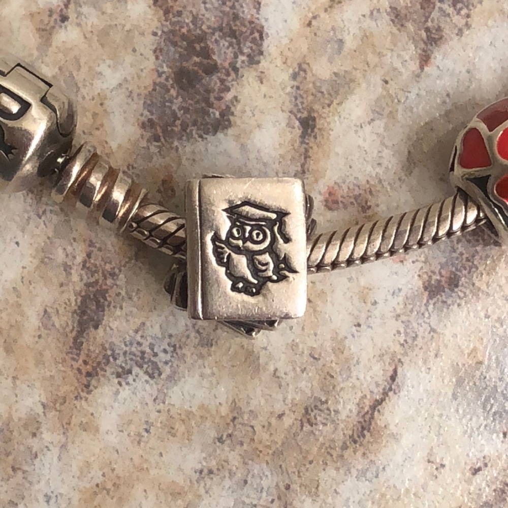 Authentic Pandora study textbooks owl charm 📚